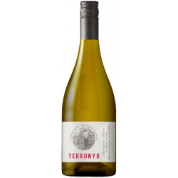 Terrunyo Sauvignon Blanc