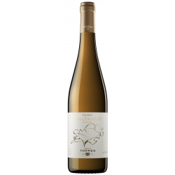 Waltraud Riesling Ecologic